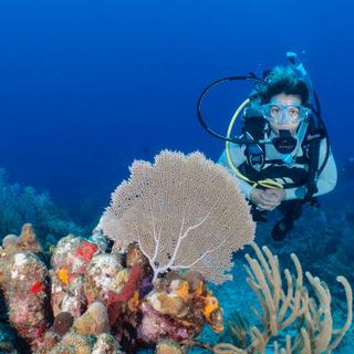Fajardo Reef Excursions Tour for 2 - Puerto Rico