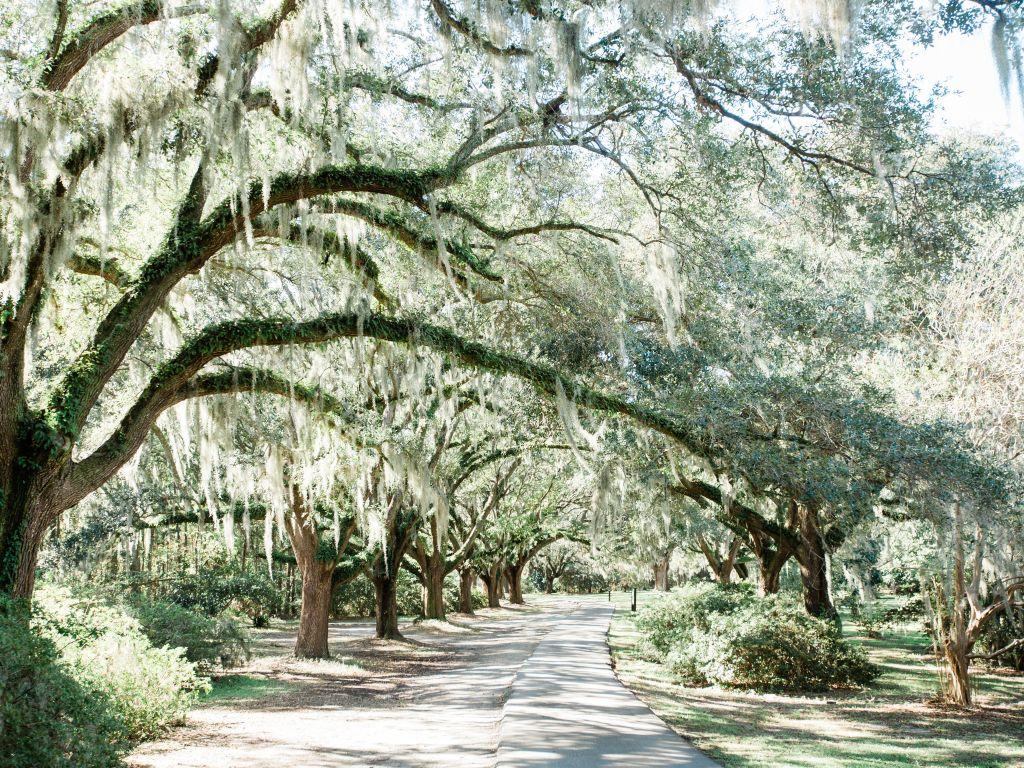 The Wedding Website of Katie Booth and Scott Rohrer