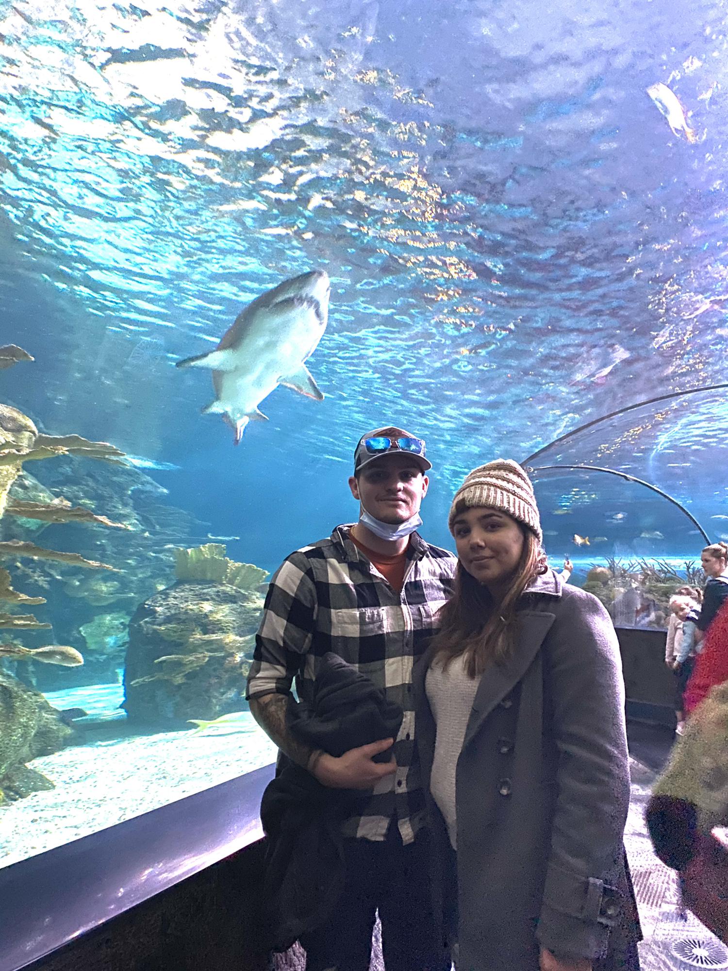 Ripleys Aquarium Gatlinburg Tennessee