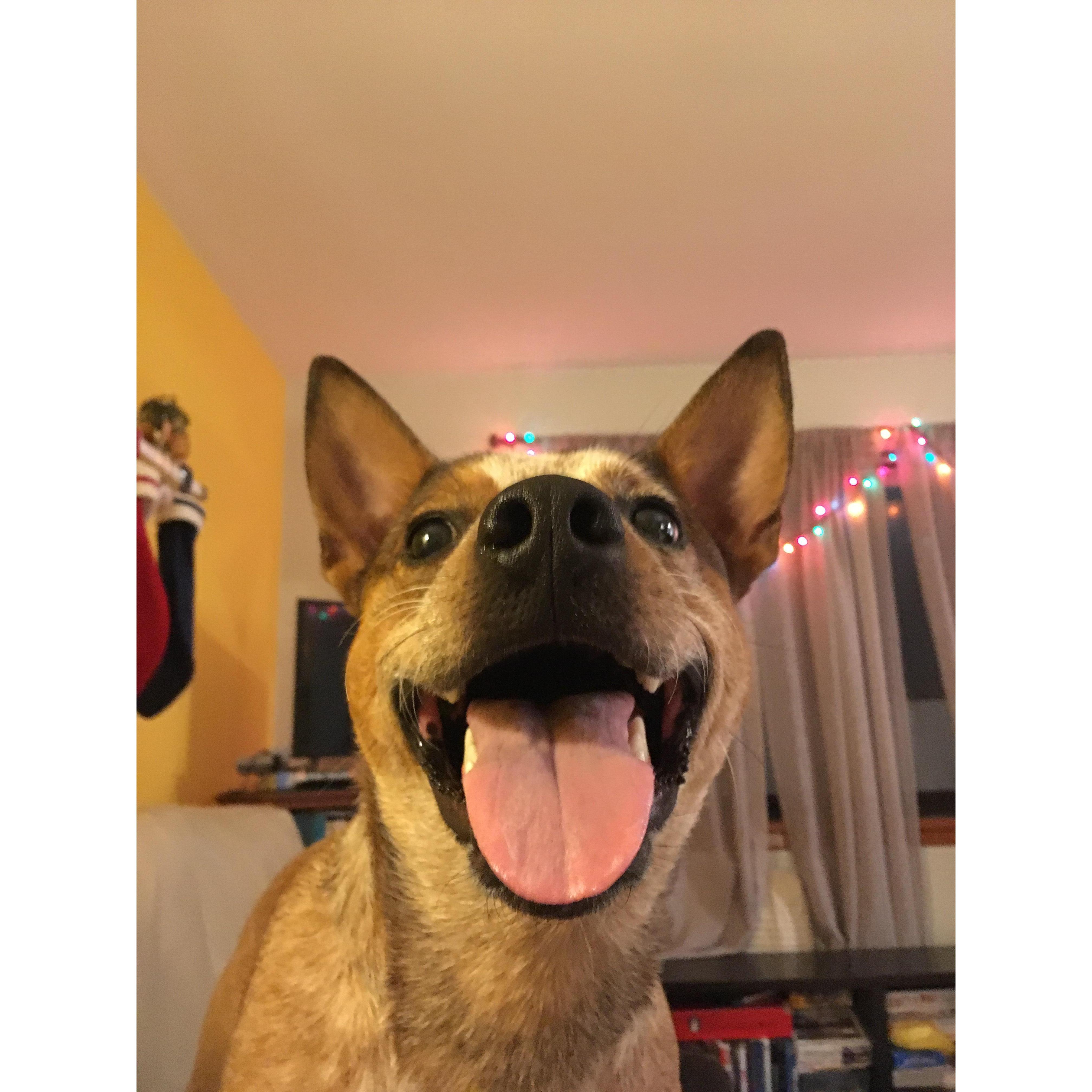 Mac says hi.