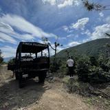 Filadelfia Coffee Resort & Tours