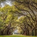Charles Towne Landing State Historic Site