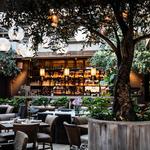 Our Favorite Restaurants & Rooftops
