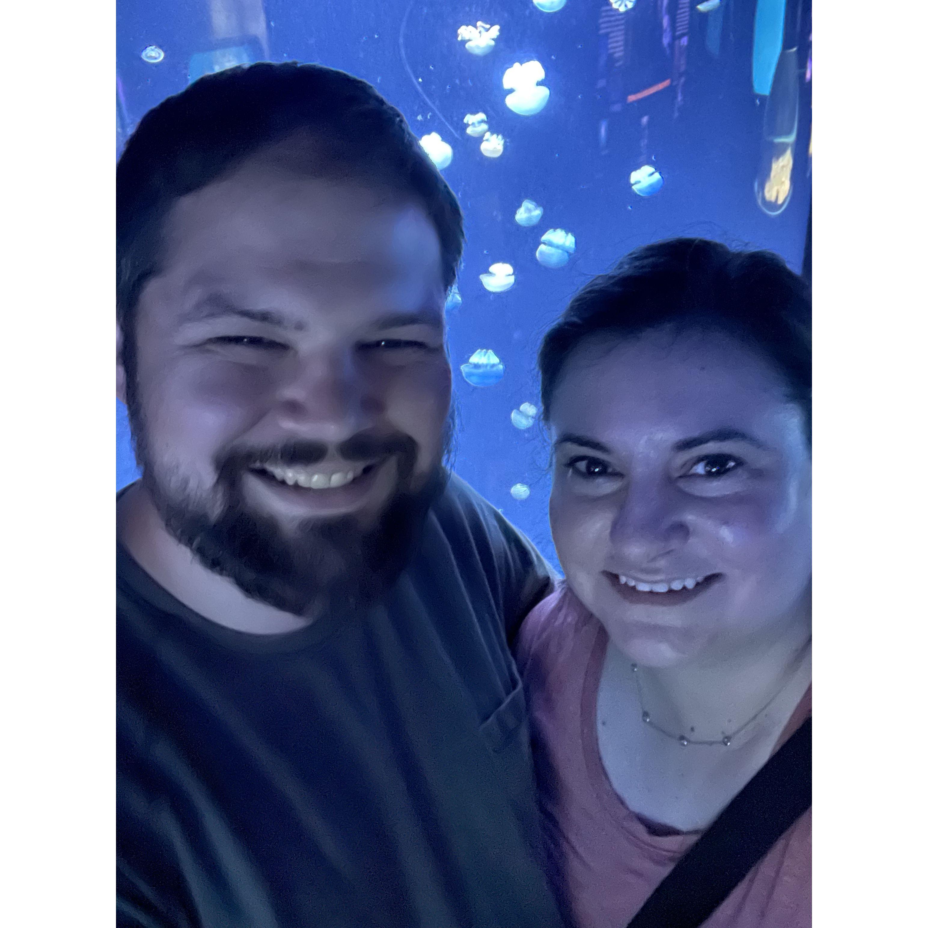 We love aquariums :)