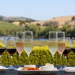 Wine Tastings