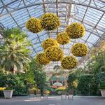 Longwood Gardens