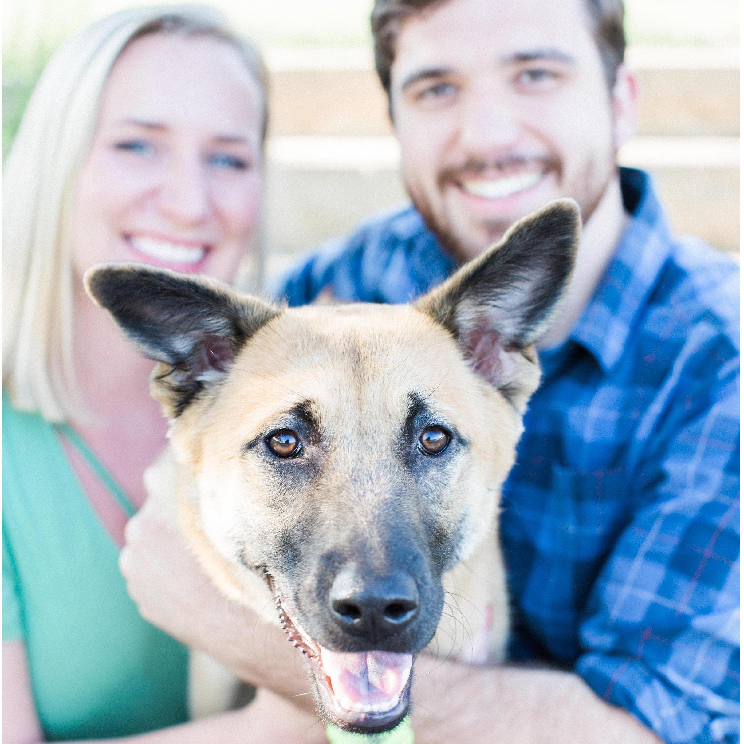 Our puppy, Leona, made us a family in December 2016.