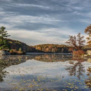 NY State Lifetime Parks Pass