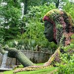 Atlanta Botanical Garden