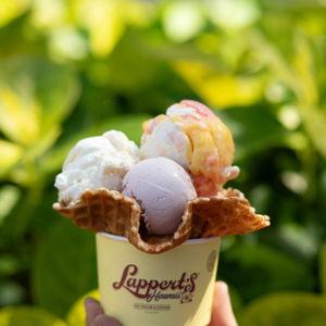 Ice cream at Lappert's