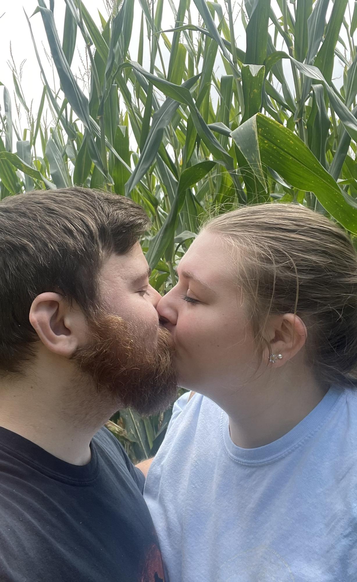 Trip through a corn maze