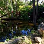 Botanical Gardens