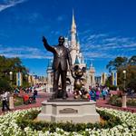 Magic Kingdom Park