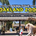 Oakland Things To Do
