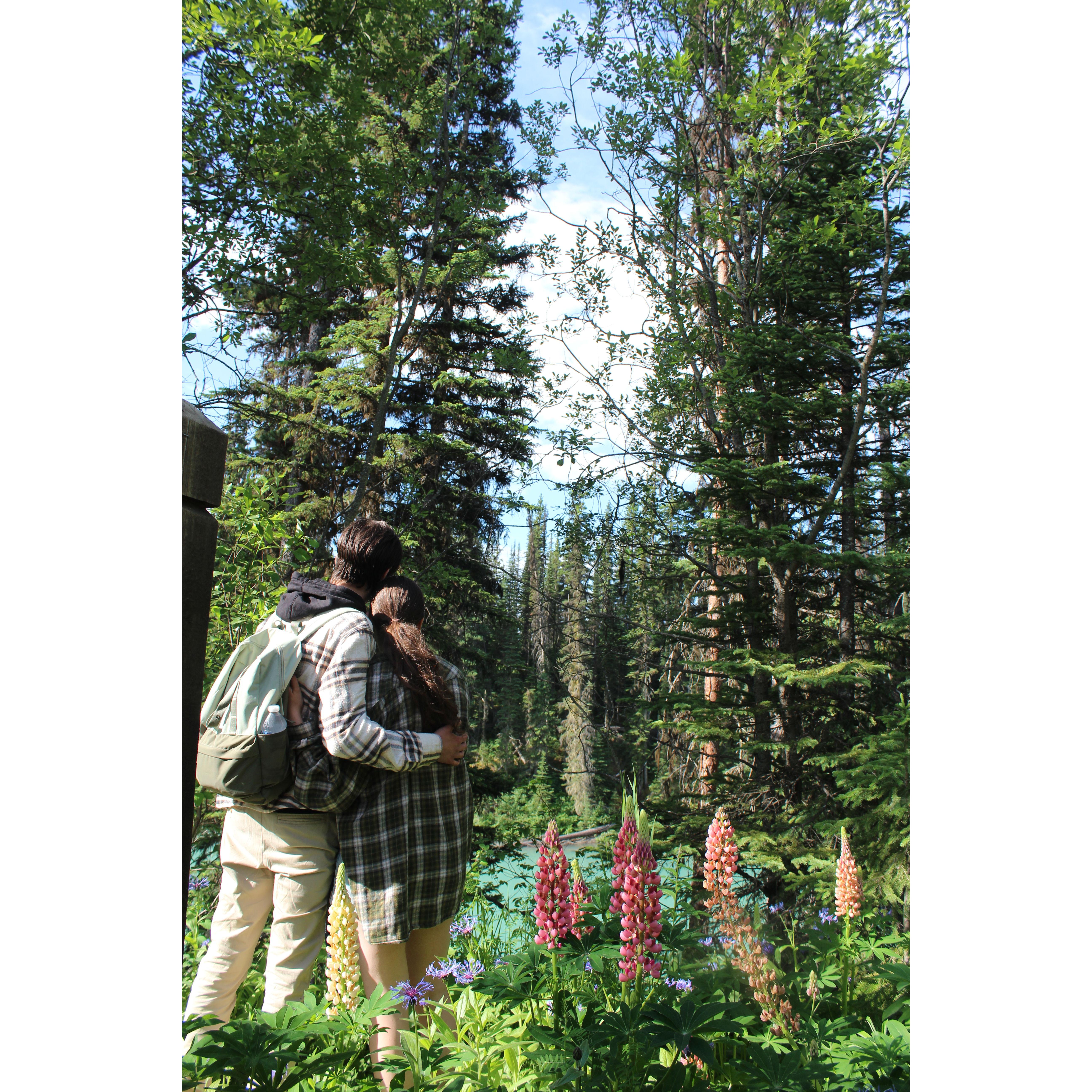 The beginning of our hike around Emerald Lake, where Daniel proposed.