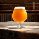 Spacecat Brewing Company