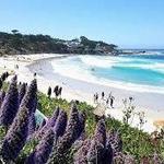 Carmel Beach