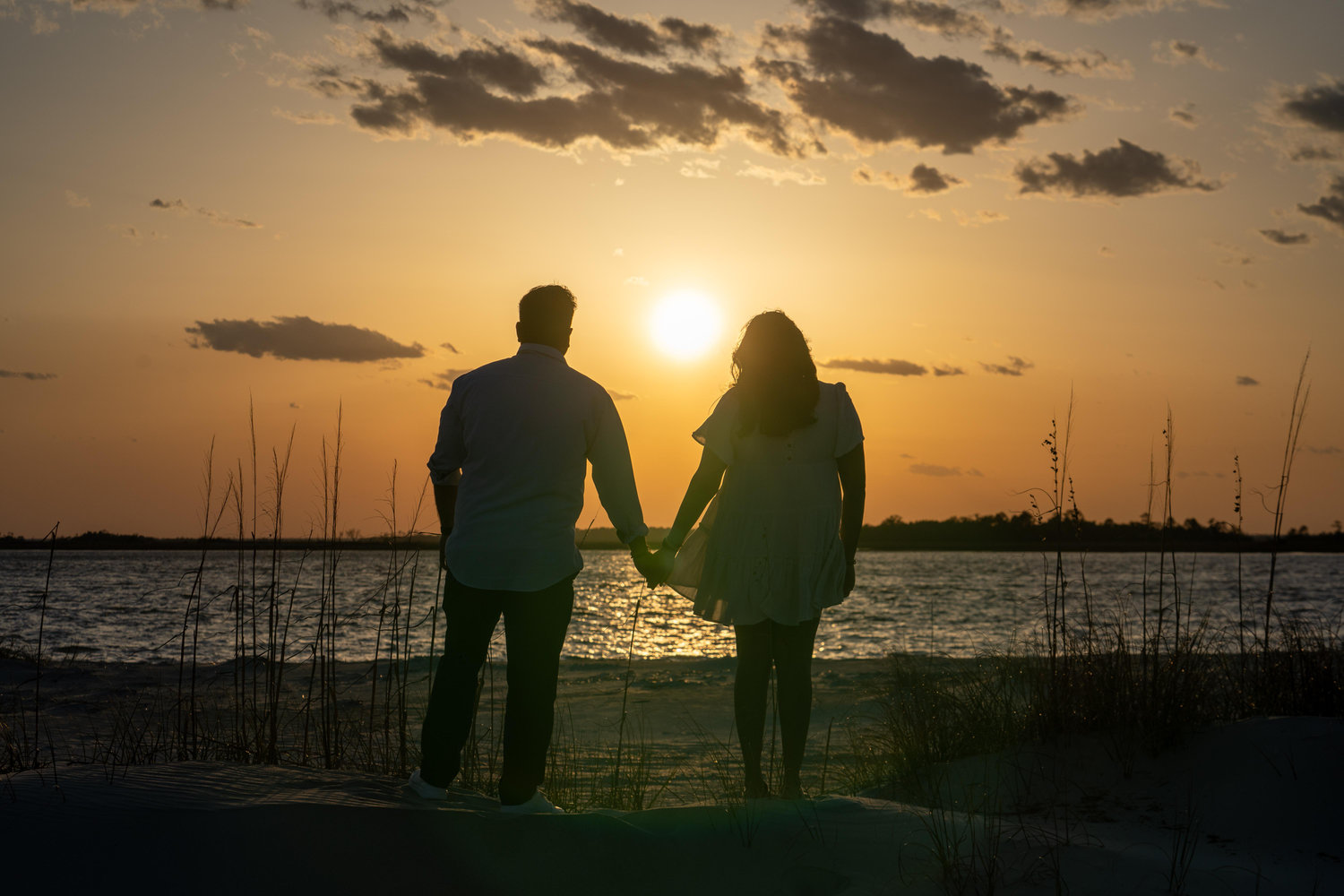 The Wedding Website of Vidhi Patel and Deepam Patel