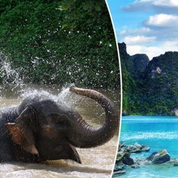 Honeymoon Fund to Thailand