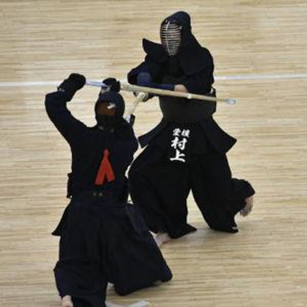 Sword Fighting Lessons