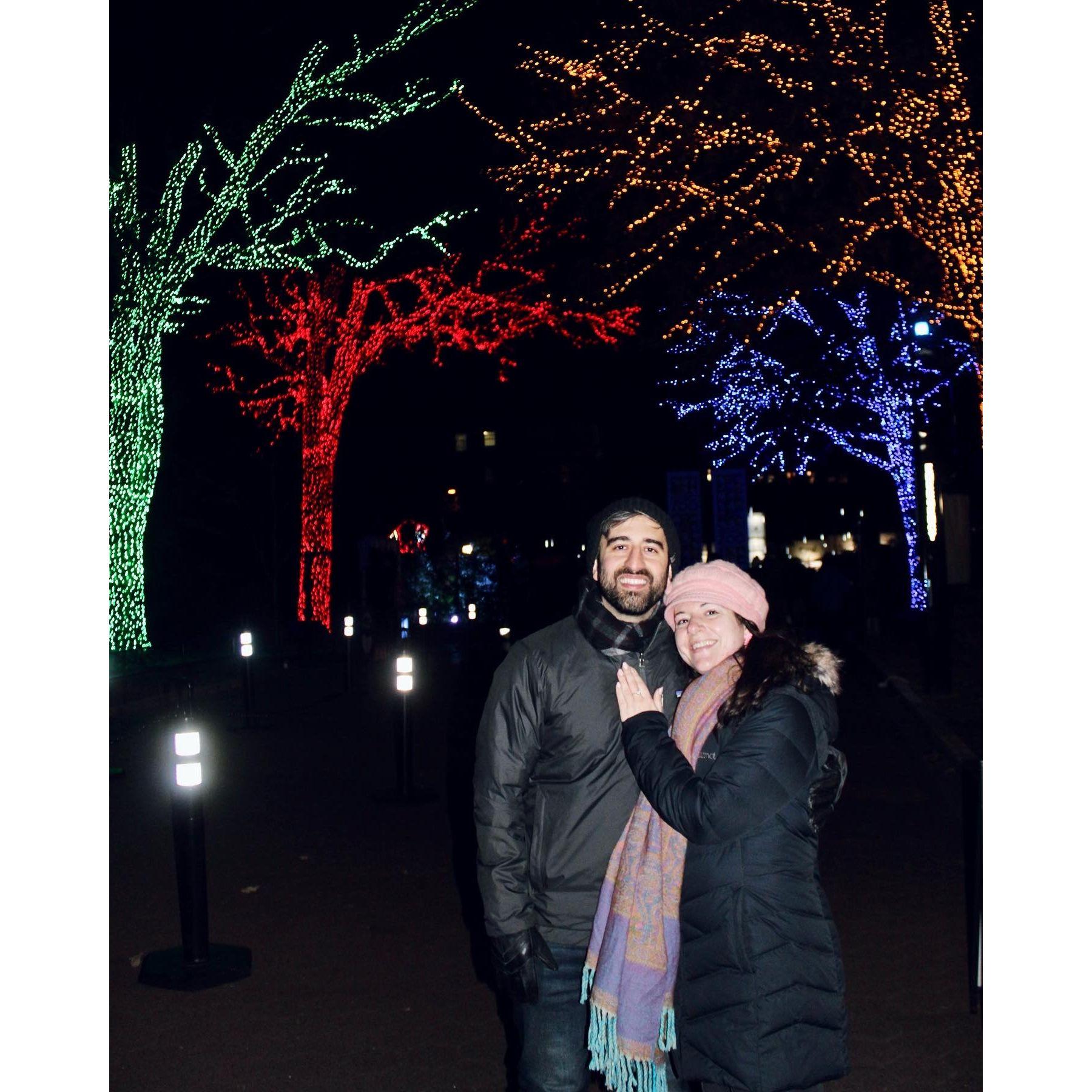 Post proposal, at the National Zoo Lights
