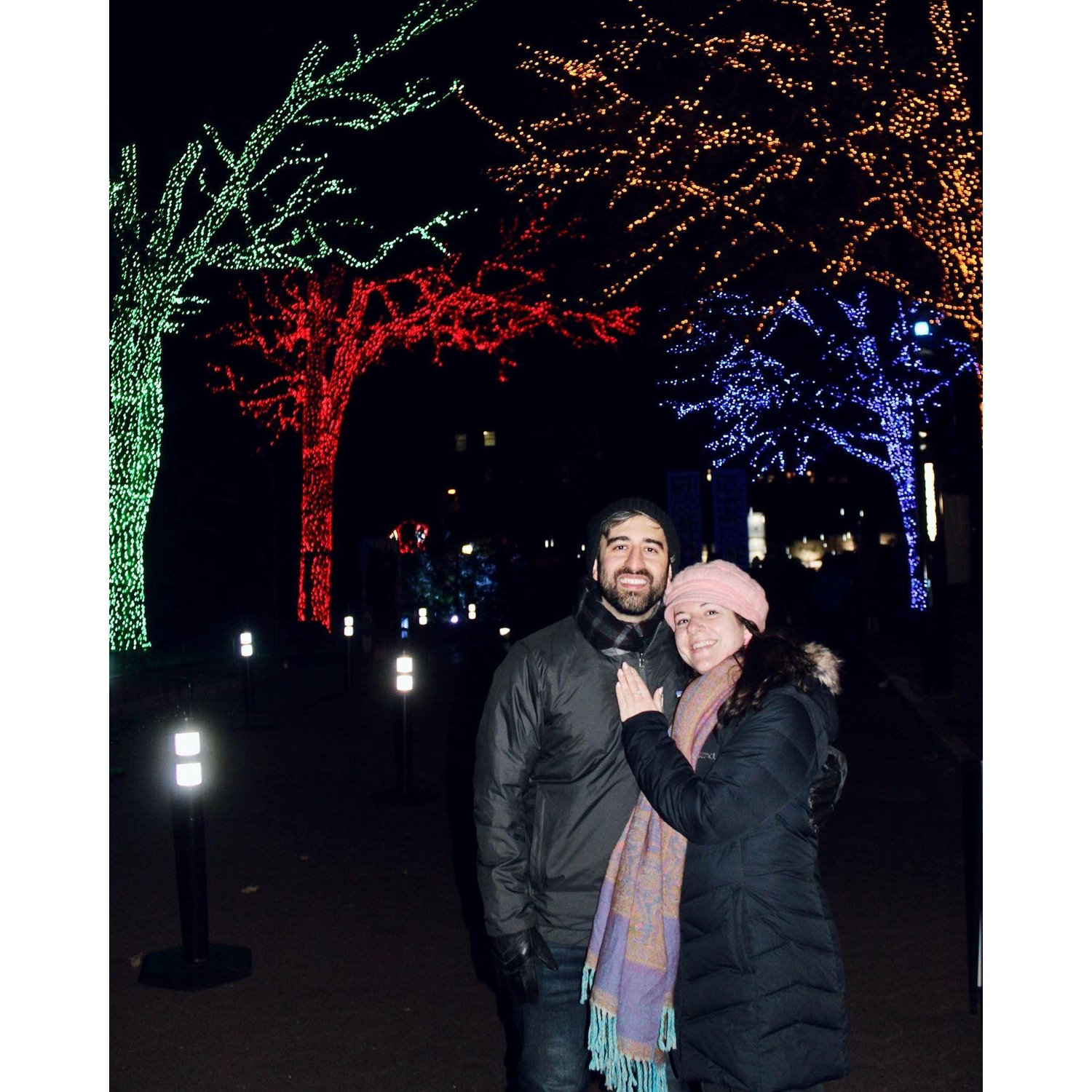 Post proposal, at the National Zoo Lights