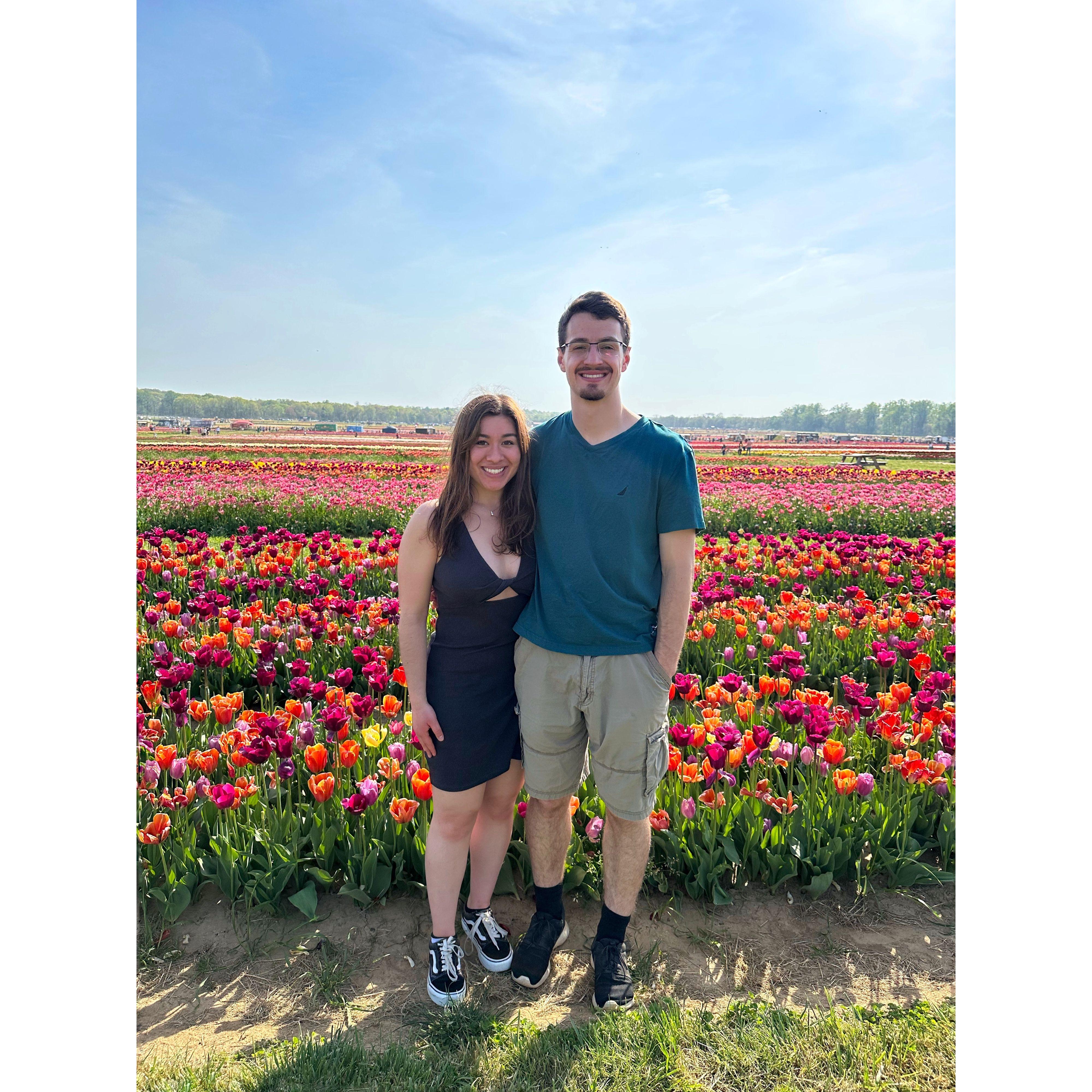 Holland Ridge Farms, NJ with the beautiful tulip field! (Notice how pasty pale Nicole is from studying for the first part of her medical boards and never went outside)
