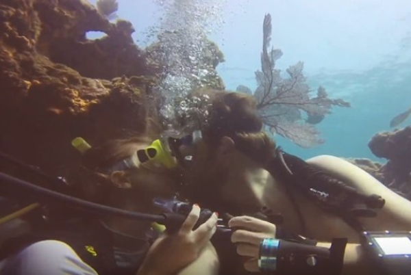 1ce3a23c-5c4f-447f-82cf-d6a1e77fc68a