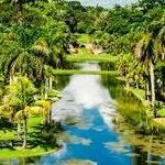 Visit Fairchild Tropical Botanic Garden