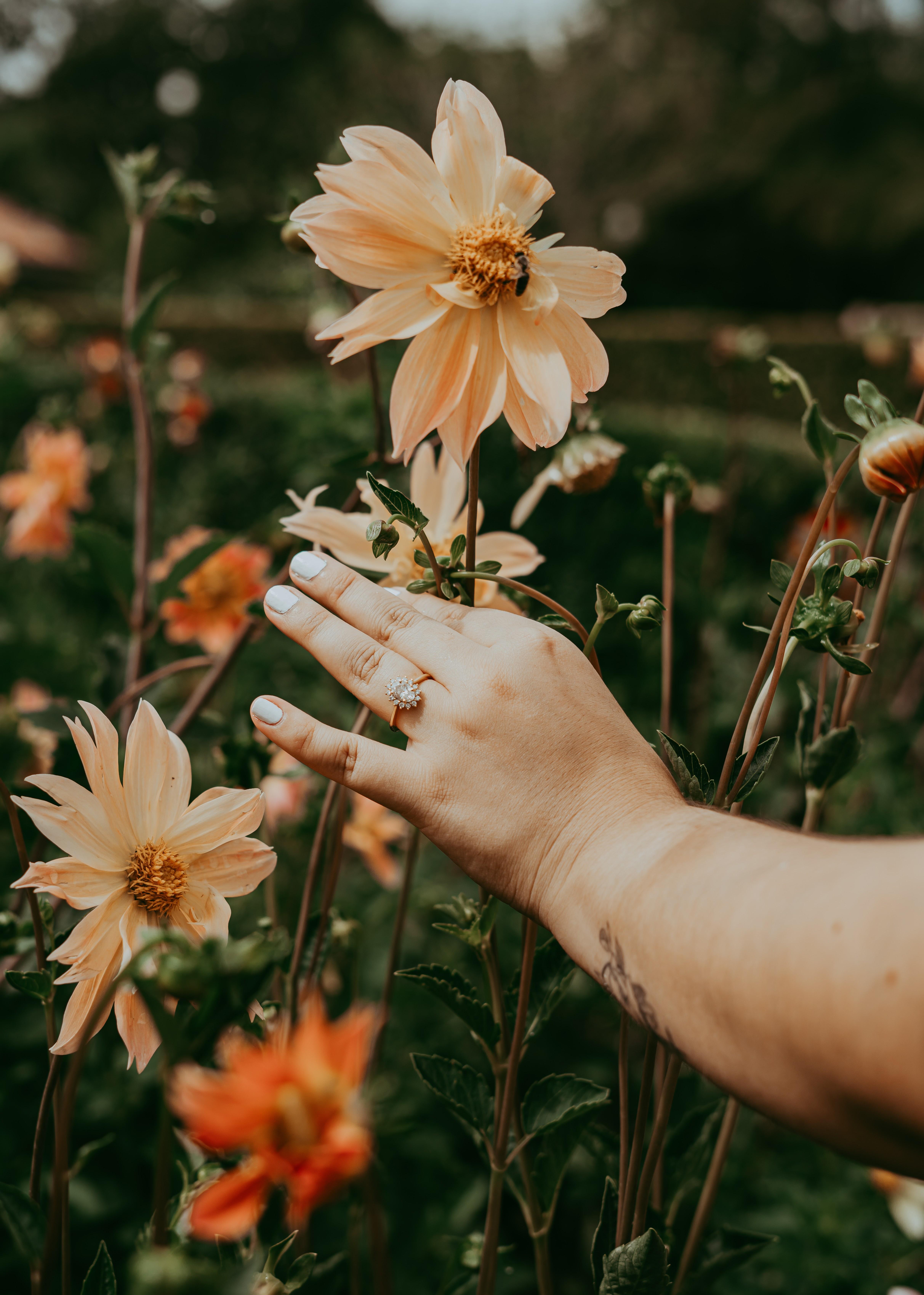 The Wedding Website of Kristen Wilson and Gregory DeCanio