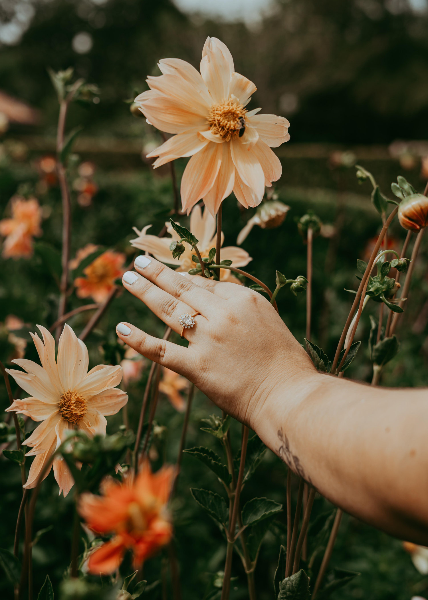 The Wedding Website of Kristen Wilson and Gregory DeCanio