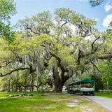 Check out: Magnolia Plantation and Gardens