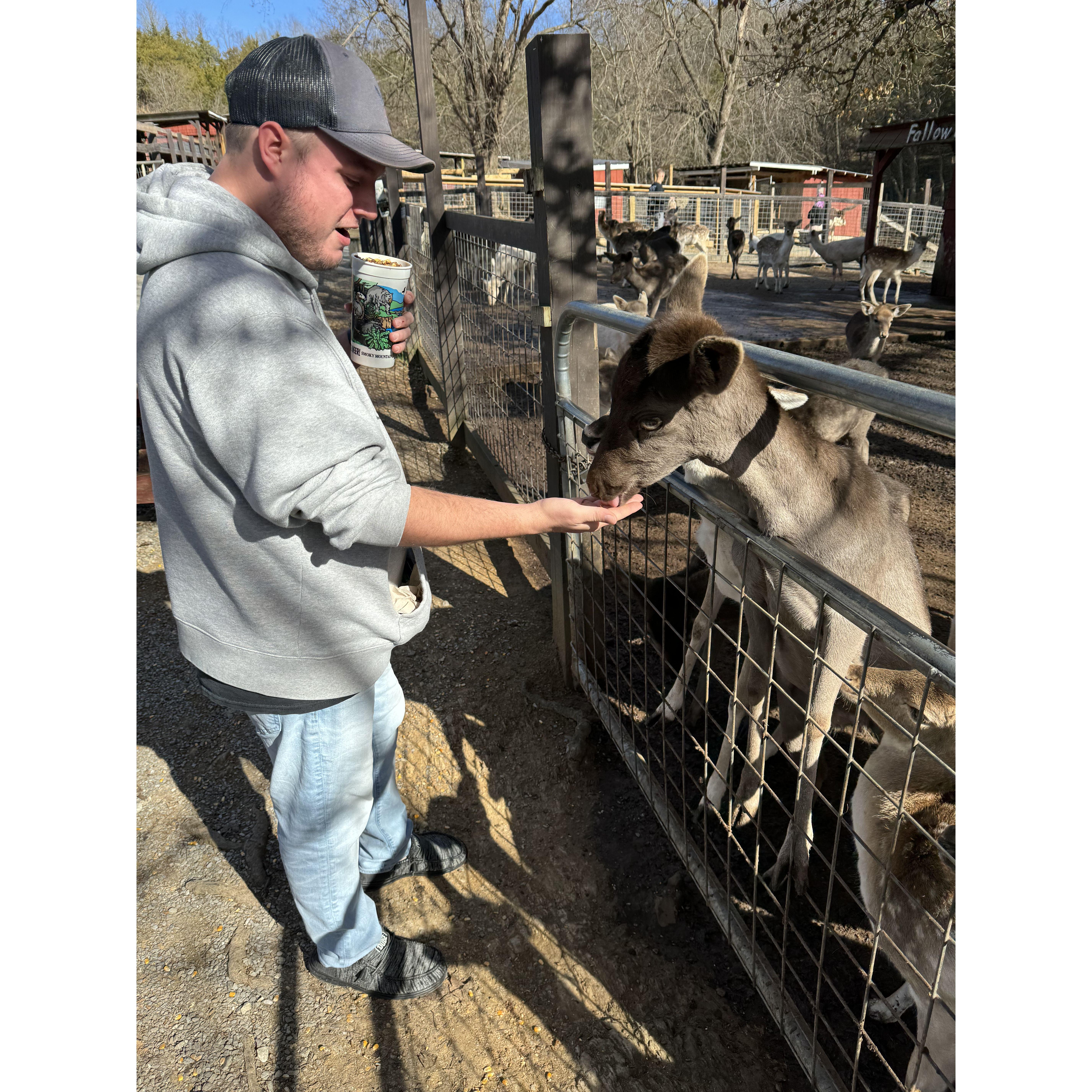 We went to TN for vacation and found the ultimate petting zoo!