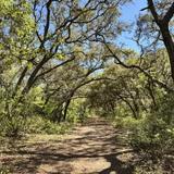 Wilderness Gardens Preserve