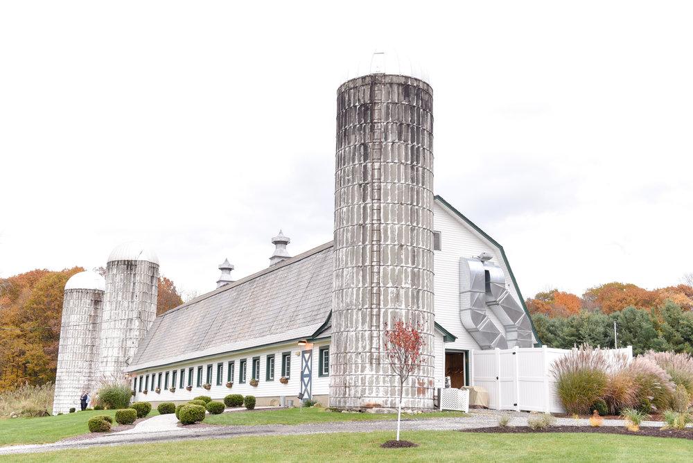 The Wedding Website of Cortney D'Amato and Anthony Roselli