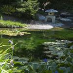 University of California Botanical Garden