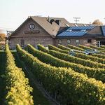 Newport Vineyards