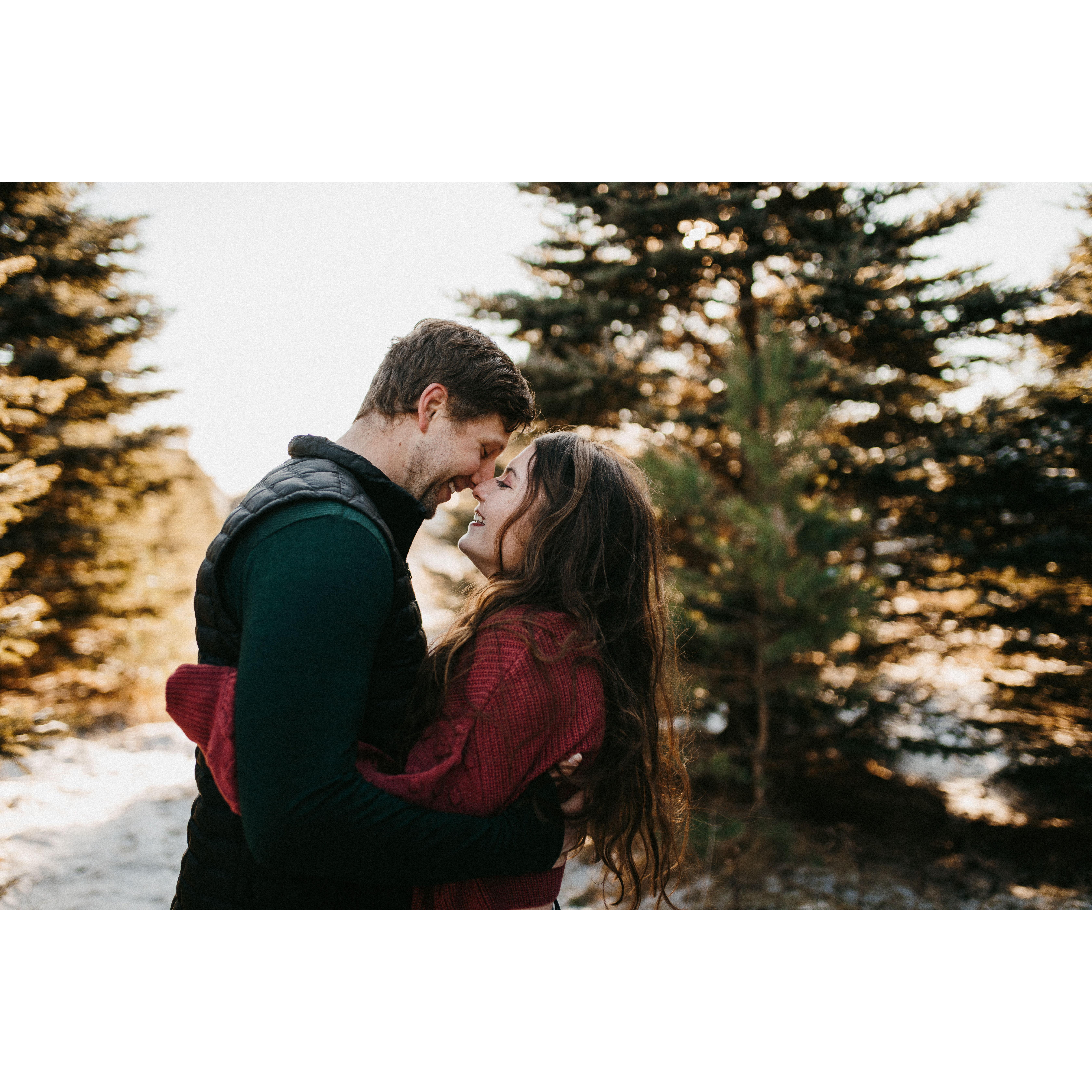 Christmas card photos!
