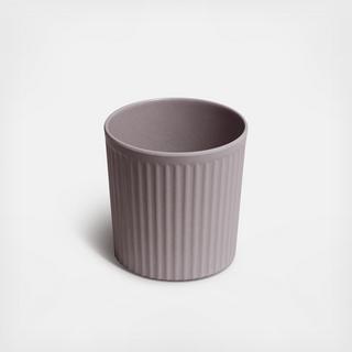 Brush Cup