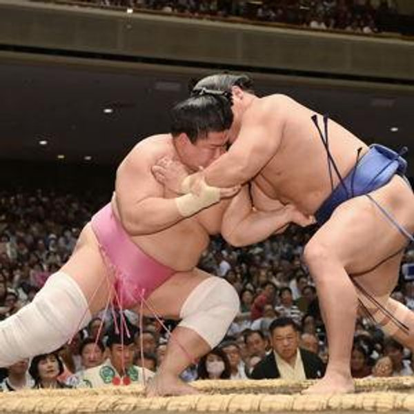 See a Sumo Wrestling Match