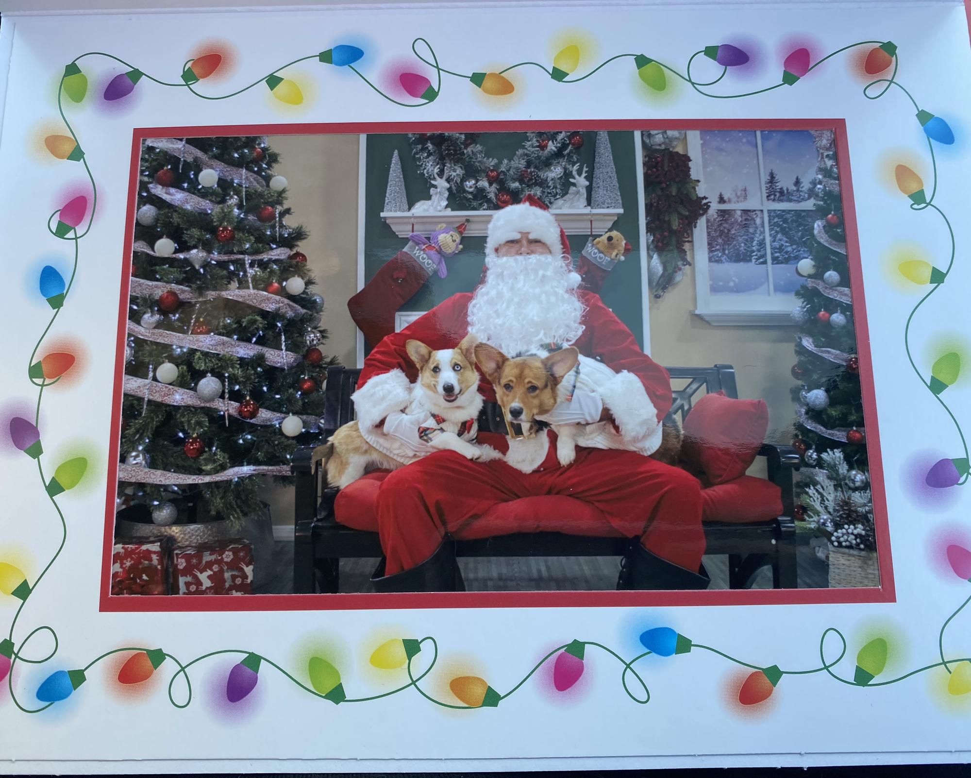 Christmas Photo #2