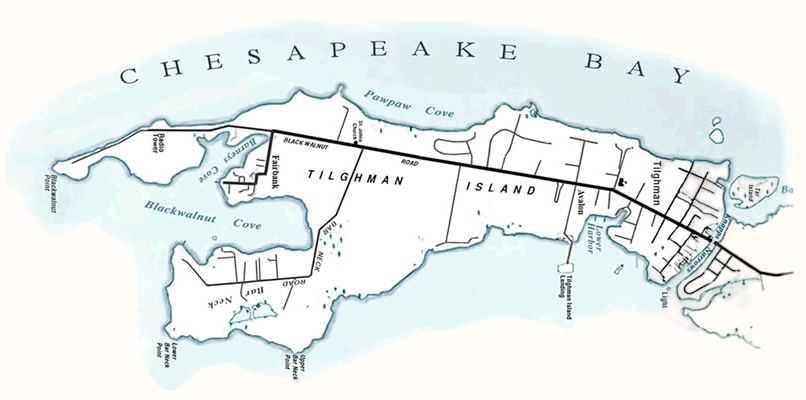 The Wedding Website of Emily Duerksen and Noah Han