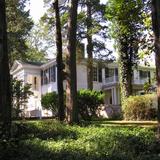 Rowan Oak