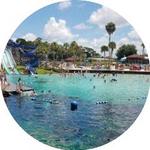 Weeki Wachee Spring