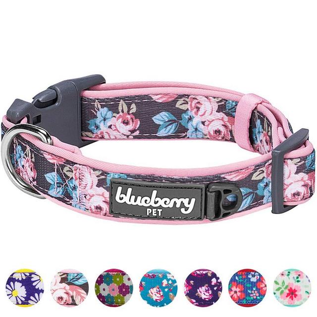 Blueberry Pet 12 Patterns Soft & Comfy Flower Print Neoprene Padded Dog Collars, Harnesses or Leashes