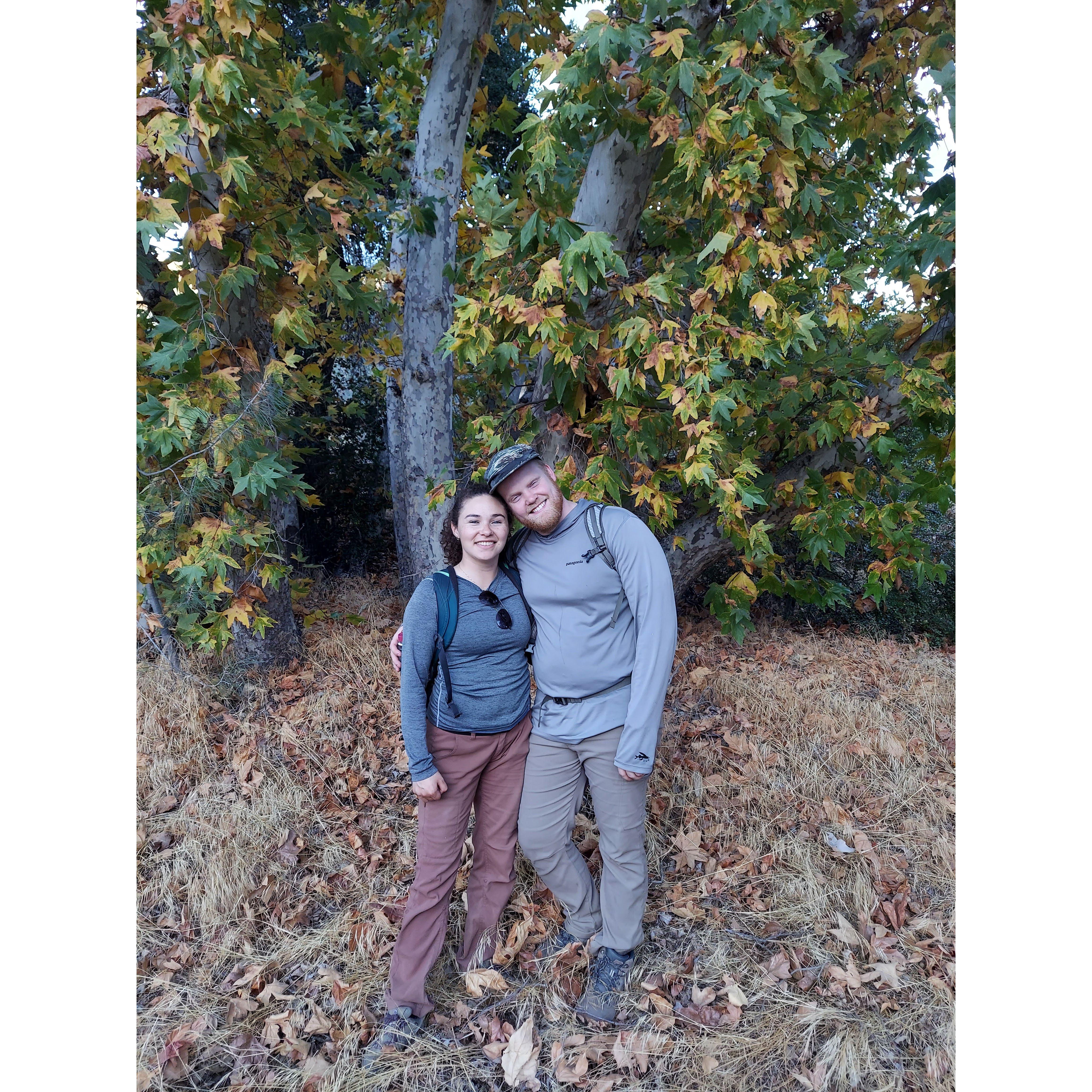 More from Pinnacals National Park - Nov 2023