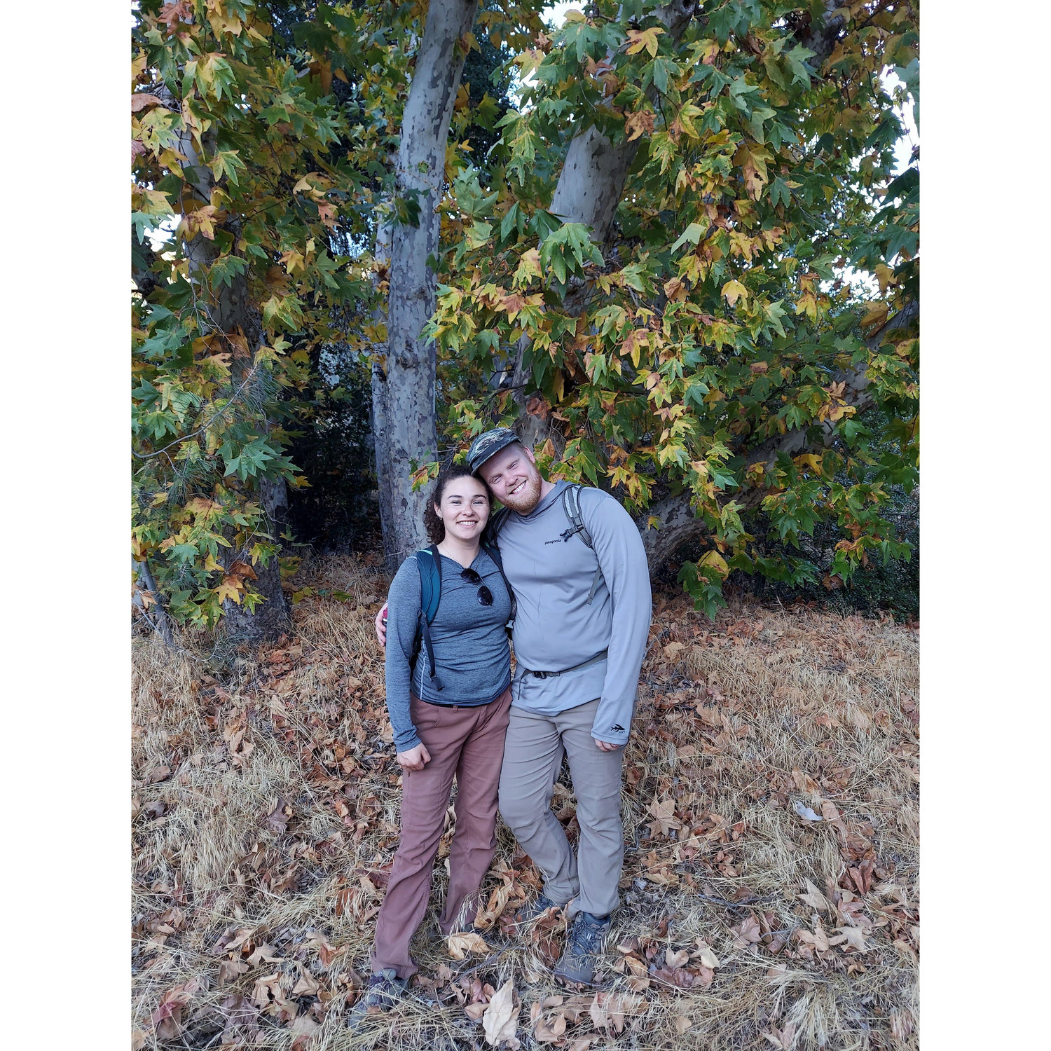 More from Pinnacals National Park - Nov 2023