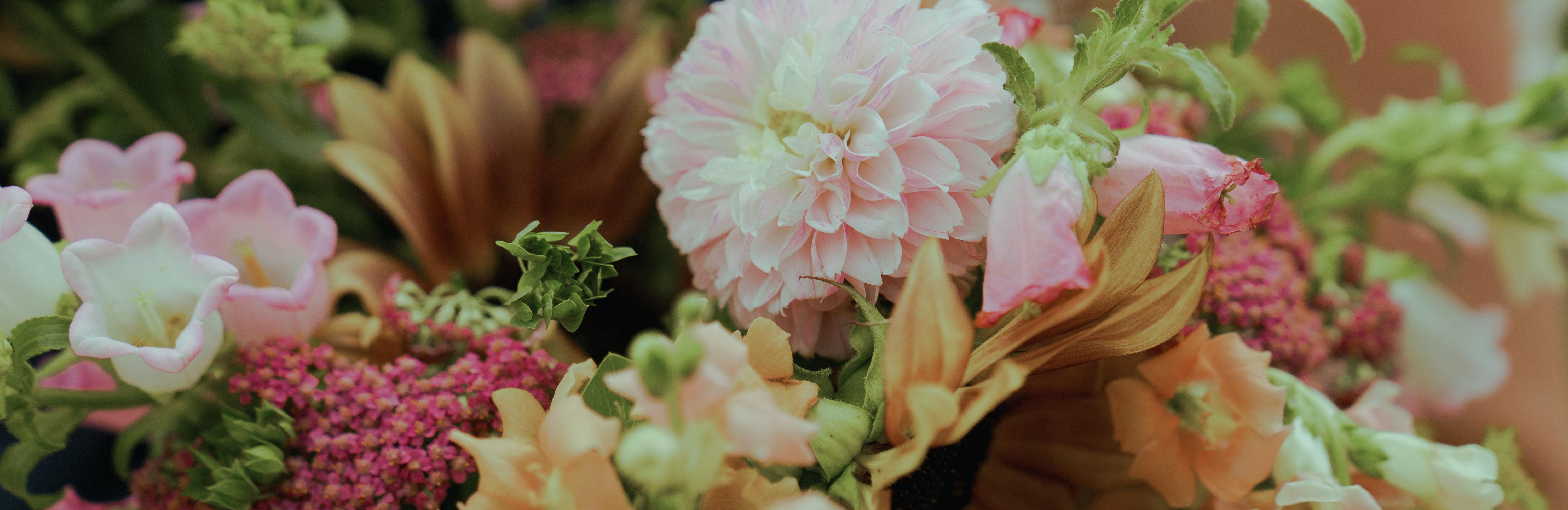 The Wedding Website of Mayra Ramirez and Spencer Mowatt