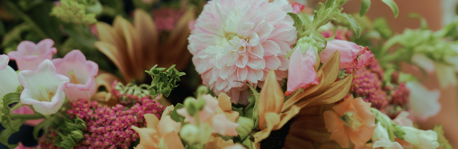 The Wedding Website of Mayra Ramirez and Spencer Mowatt