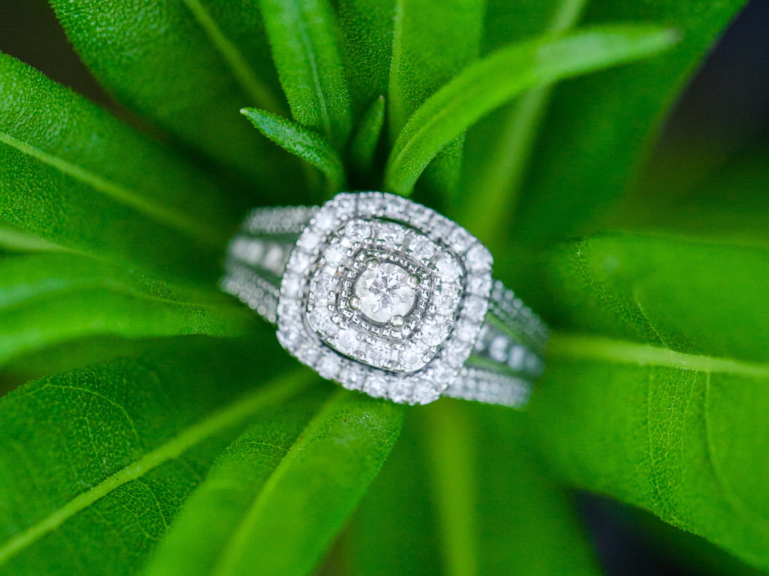 The Wedding Website of Destinee Potters and Brandon Scott